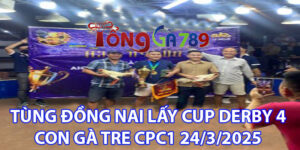 Anh Tùng Đồng Nai Lấy Cup Derby 4 Con Gà Tre CPC1 24/3/2025