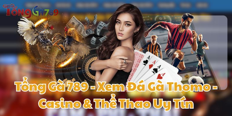 tổng gà 789