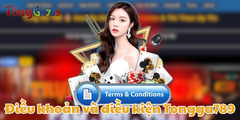Điều Khoản Và Điều Kiện