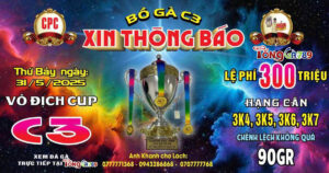 Giải Vô Địch Cúp C3 31/05/2025 - Lịch & Thông Tin Giải Đấu