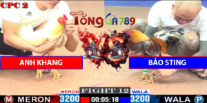 Trận Số 12 CPC2 16/5/2025 - Anh Khang Đấu Bảo Sting