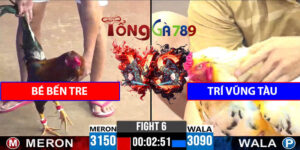 Trận Số 6 CPC3 13/5/2025 - Bé Bến Tre Gặp Lại Trí Vũng Tàu