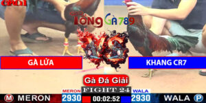 Trận Sô 24 CPC1 15/5/2025 - Gà Lửa Đụng Độ Khanh Cr7