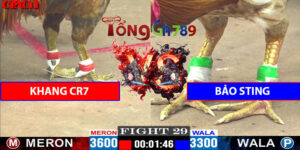 Trận Số 29 CPC1 15/5/2025 - Khang Cr7 Đấu Bảo Sting