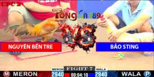 Trận Số 7 CPC2 23/5/2025 - Nguyên Bến Tre Gặp Bảo Sting