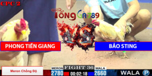 Trận Số 36 CPC2 23/5/2025 - Phong Tiền Giang Lại Hạ Bảo Sting