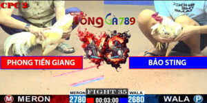Trận Số 35 CPC2 23/5/2025 - Phong Tiền Giang Tái Đấu Bảo Sting