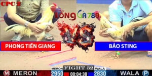 Trận Số 32 CPC2 23/5/2025 - Phong Tiền Giang Hạ Bảo Sting