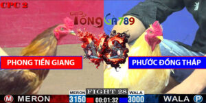Trận Số 28 CPC2 23/5/2025 - Phong Tiền Giang Gặp Phước Đồng Tháp