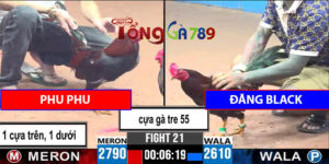 Trận Số 21 CPC3 30/5/2025 - Phu Phu Trả Thù Được Đăng Black