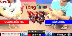 Trận Số 16 CPC2 16/5/2025 - Quang Bến Tre Gặp Bảo Sting