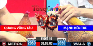 Trận Số 19 CPC3 18/5/2025 - Quang Vũng Gặp Vs Mạnh Bến Tre