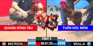 Trận Số 5 CPC3 18/5/2025 - Quang Vũng Tàu Gặp Tuấn Hóc Môn