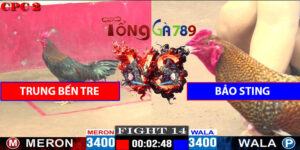 Trận Số 14 CPC2 9/5/2025 - Trung Bến Tre Gặp Bảo Sting