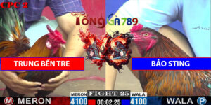 Trận Số 25 CPC2 23/5/2025 - Trung Bến Tre Gặp Bảo Sting