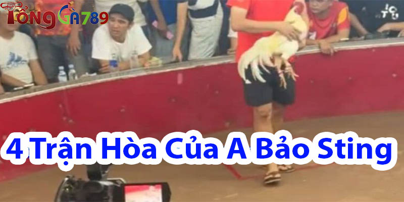 4 Trận Hòa Của A Bảo Sting Ngày 6/6/2025