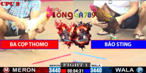 Trận Số 1 CPC2 6/6/2025 - Bảo Sting Mở Bát Hòa
