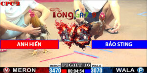 Trận Số 16 CPC2 6/6/2025 - Anh Hiển Gặp Bảo Sting