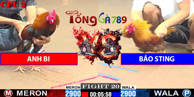 Trận Số 20 CPC2 6/6/2025 - Anh Bi Đấu Bảo Sting