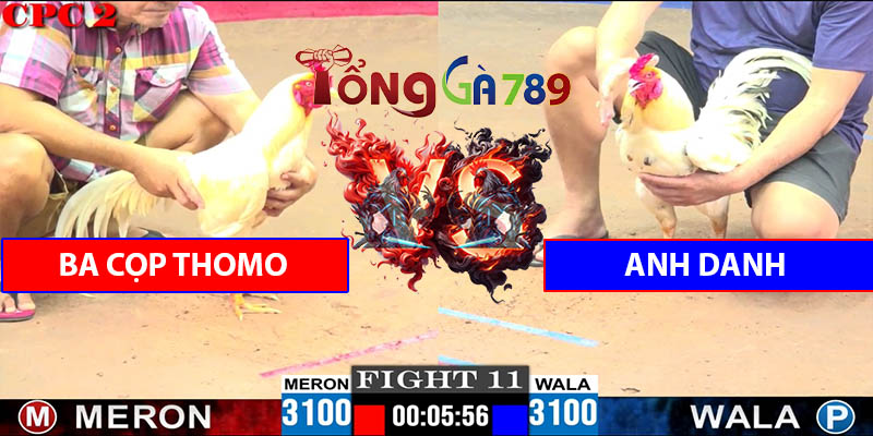 Trận Số 11 CPC2 7/6/2025 - Ba Cọp Thomo Hạ Anh Danh