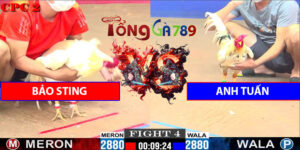 Trận Số 4 CPC2 6/6/2025 - Bảo Sting Gặp Anh Tuấn