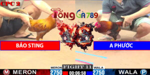 Trận Số 11 CPC2 1/6/2025 - Bảo Sting Gặp A Phước