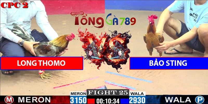 Trận Số 25 CPC2 6/6/2025 - Bảo Sting Trả Thù Long Thomo Thành Công