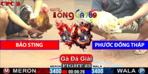 Trận Số 23 CPC2 1/6/2025 - Bảo Sting Hạ Phước Đồng Tháp