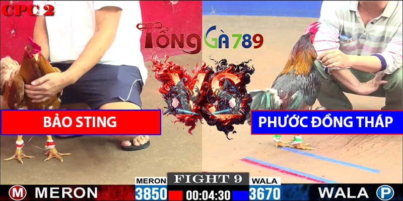 Trận Số 9 CPC2 6/6/2025 - Bảo Sting Hạ Phước Đồng Tháp