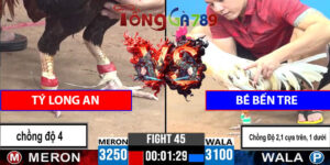 Tý Long An Chồng 4 Độ Ăn 4 CPC3 22/6/2025