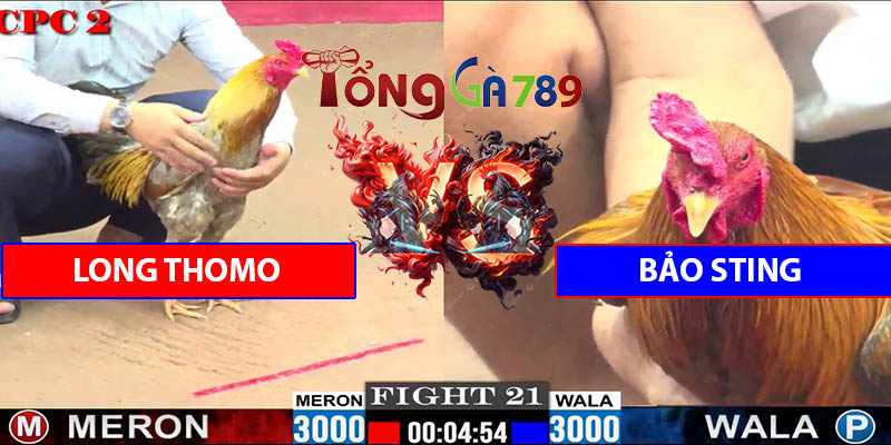 Trận Số 21 CPC2 6/6/2025 - Long Thomo Hạ Bảo Sting