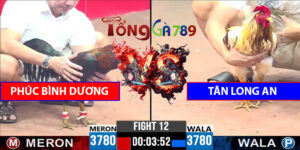 Trận Số 12 CPC3 6/6/2025 - Phúc Bình Dương Đấu Tân Long An