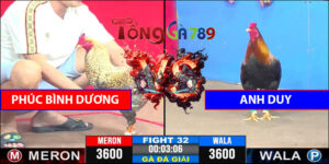Trận Số 32 CPC3 31/5/2025 - Phúc Bình Dương Gặp Anh Duy