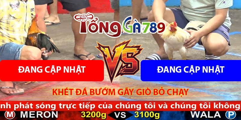 Trận Số 1 CPC5 27/8/2025 - Gà Khét Đá Gà Bướm Bỏ Chạy