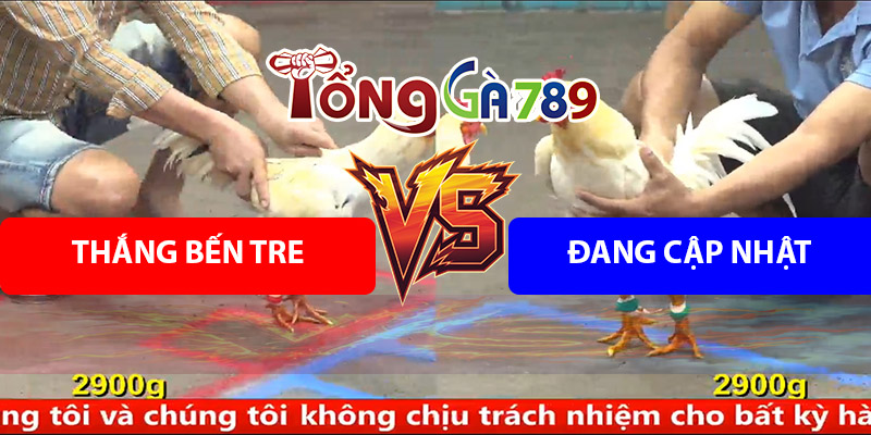 Trận Số 4 CPC5 16/8/2025 - Trận Gà Của A Thắng Bến Tre