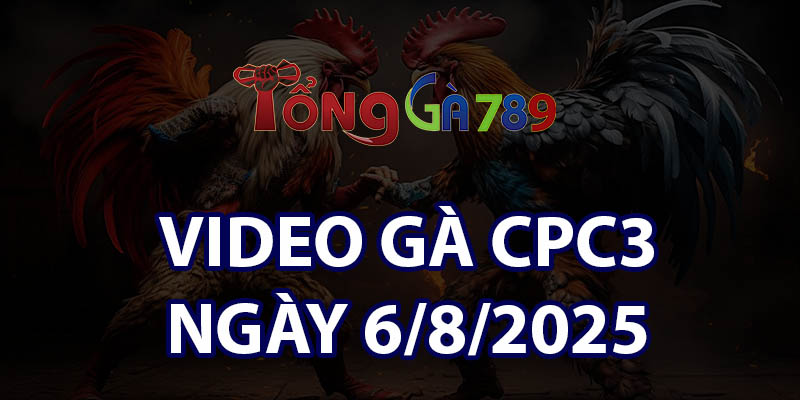 VIDEO GÀ CPC3 NGÀY 6/8/2025